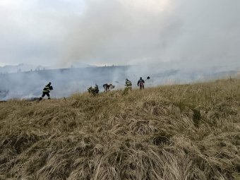 Lángra kapott a növényzet, erdőtűz is lehet belőle