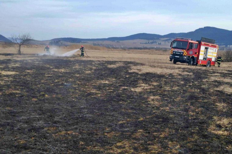 Több hektárnyi száraz növényzetet perzseltek fel a lángok Csíkszereda határában
