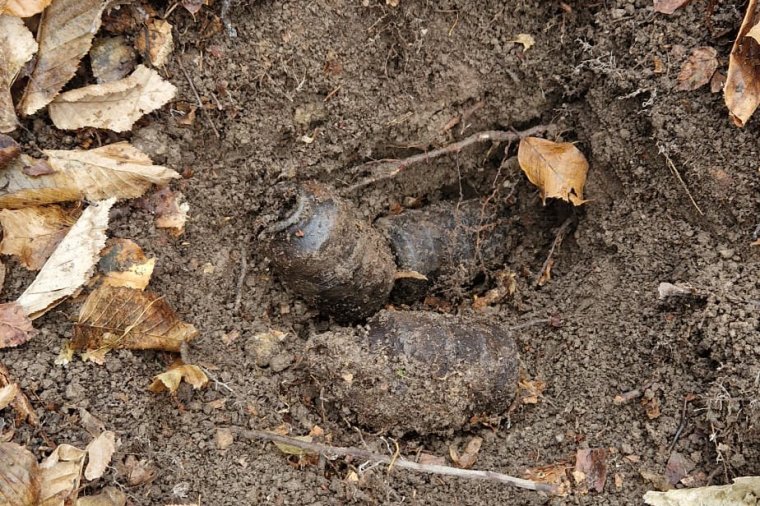 Fel nem robbant lövedékeket találtak Tusnádfürdő közelében
