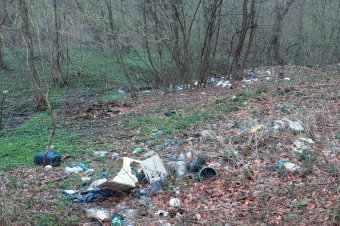 Patakmederben tárolt fa, hulladékégetés: ez csak néhány eset, ami miatt bírságolt a környezetőrség