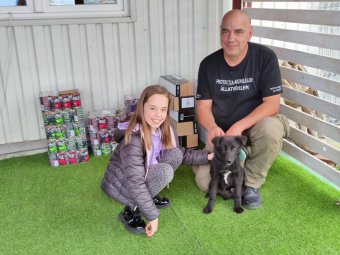 Lajoska-projekt: állateledelt adományoztak a kézdivásárhelyi kutyamenhelynek