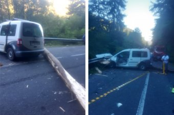 Kivágott fa dőlt az útra, megsérült egy sofőr
