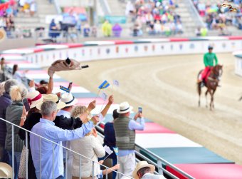 Székely zászlókkal biztatták, döntős Sepsiszentgyörgy lovasa a Nemzeti Vágtán