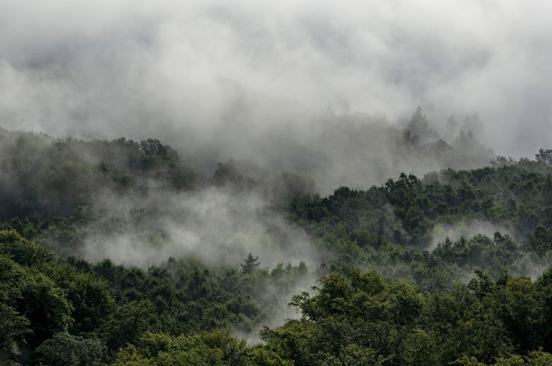 Sűrű köd van Hargita és Maros megye több településén