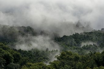 Sűrű köd van Hargita és Maros megye több településén