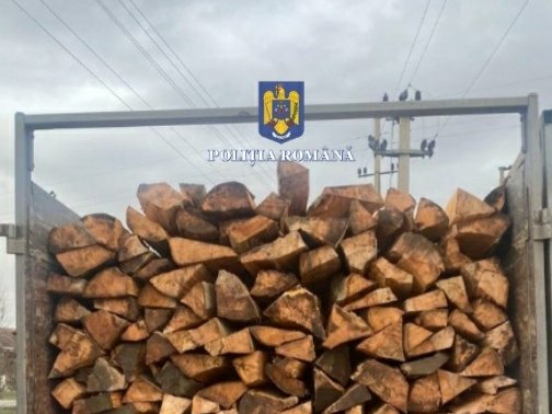 Több tízezer lejnyi bírság két nap alatt törvénytelen fakitermelés miatt