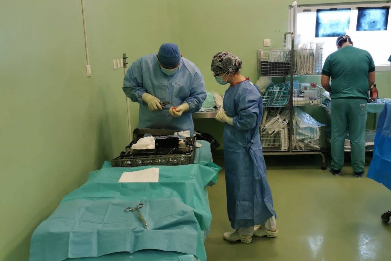 Élő donoroktól vettek csontszövetet Marosvásárhelyen