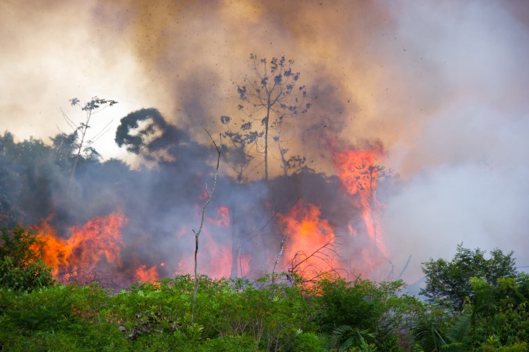 Ég az Amazonas: van okunk az aggodalomra?