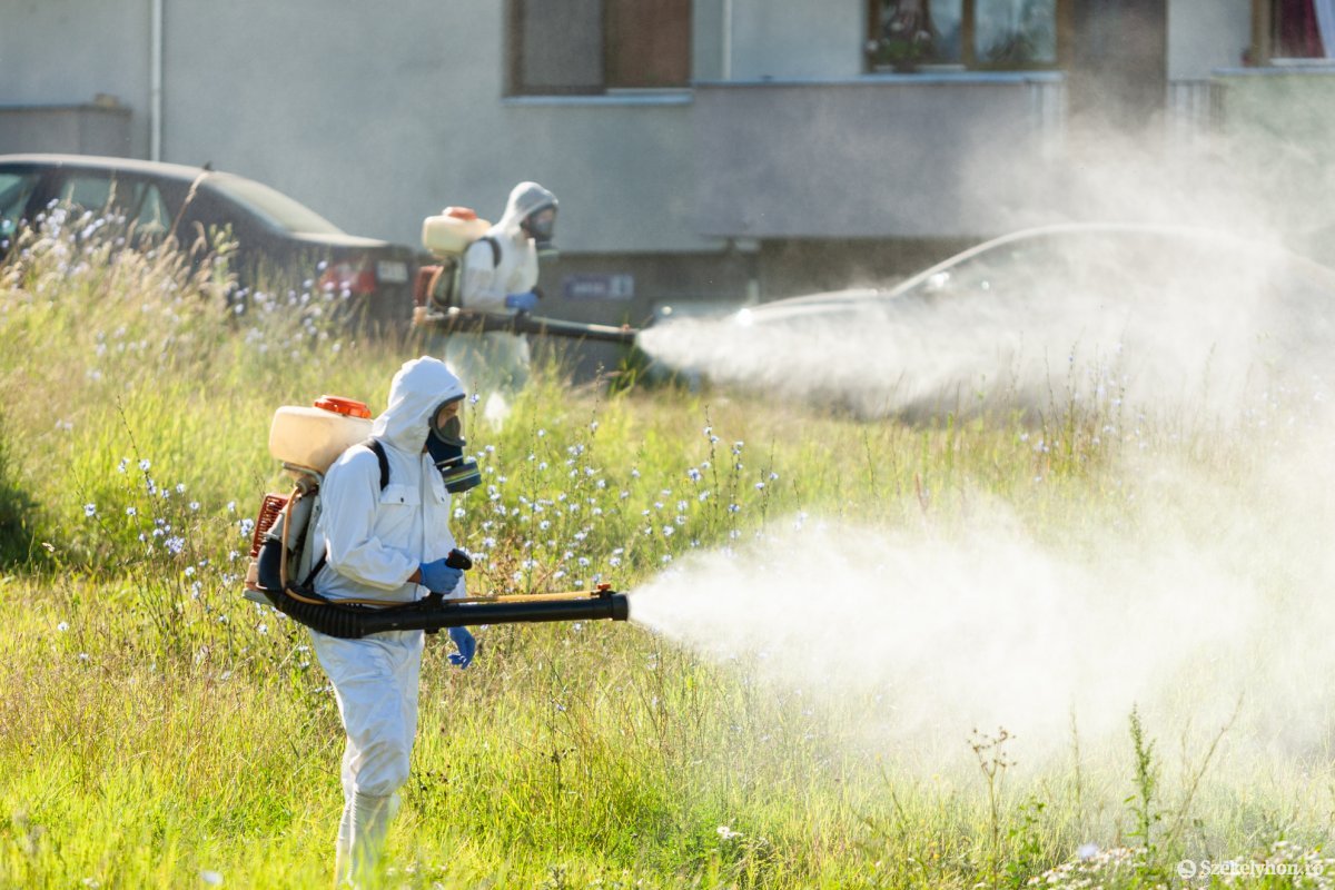 A lakószövetséggel történt egyeztetést követően, július 8-án kullancs- és szúnyogirtás zajlott a Csereháton •  Fotó: Erdély Bálint Előd