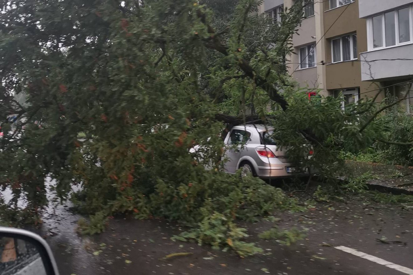 Autóra dőlt a fa a Brassói úton
