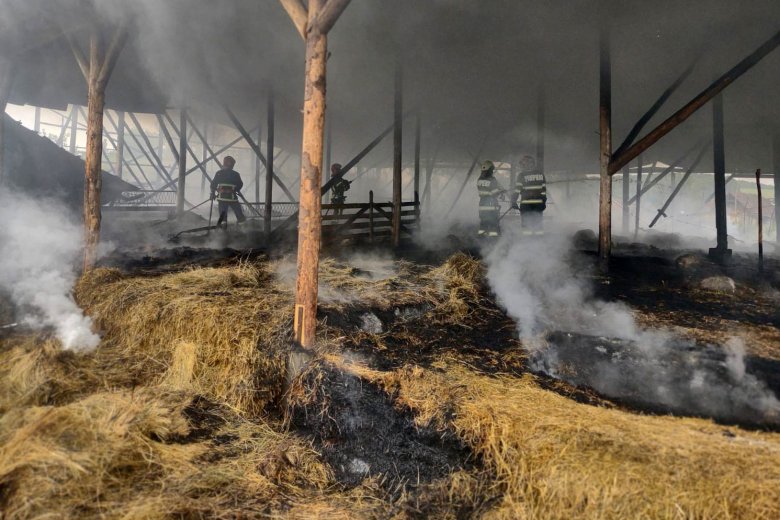 Kétszázötven állat pusztult el a tűzben