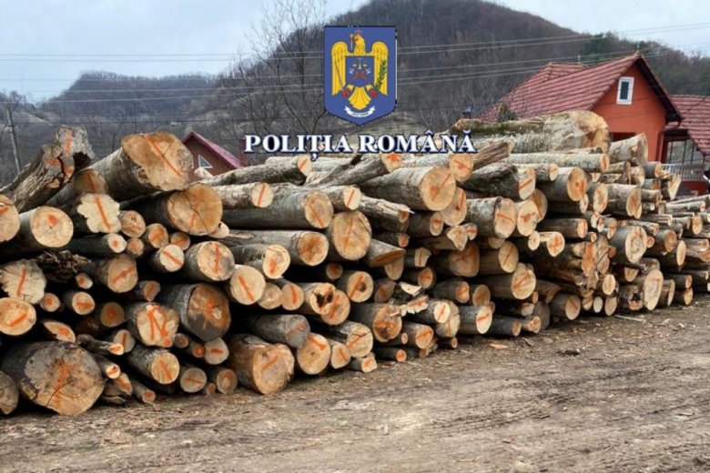 Kétszáz köbméter fát koboztak el a rendőrök