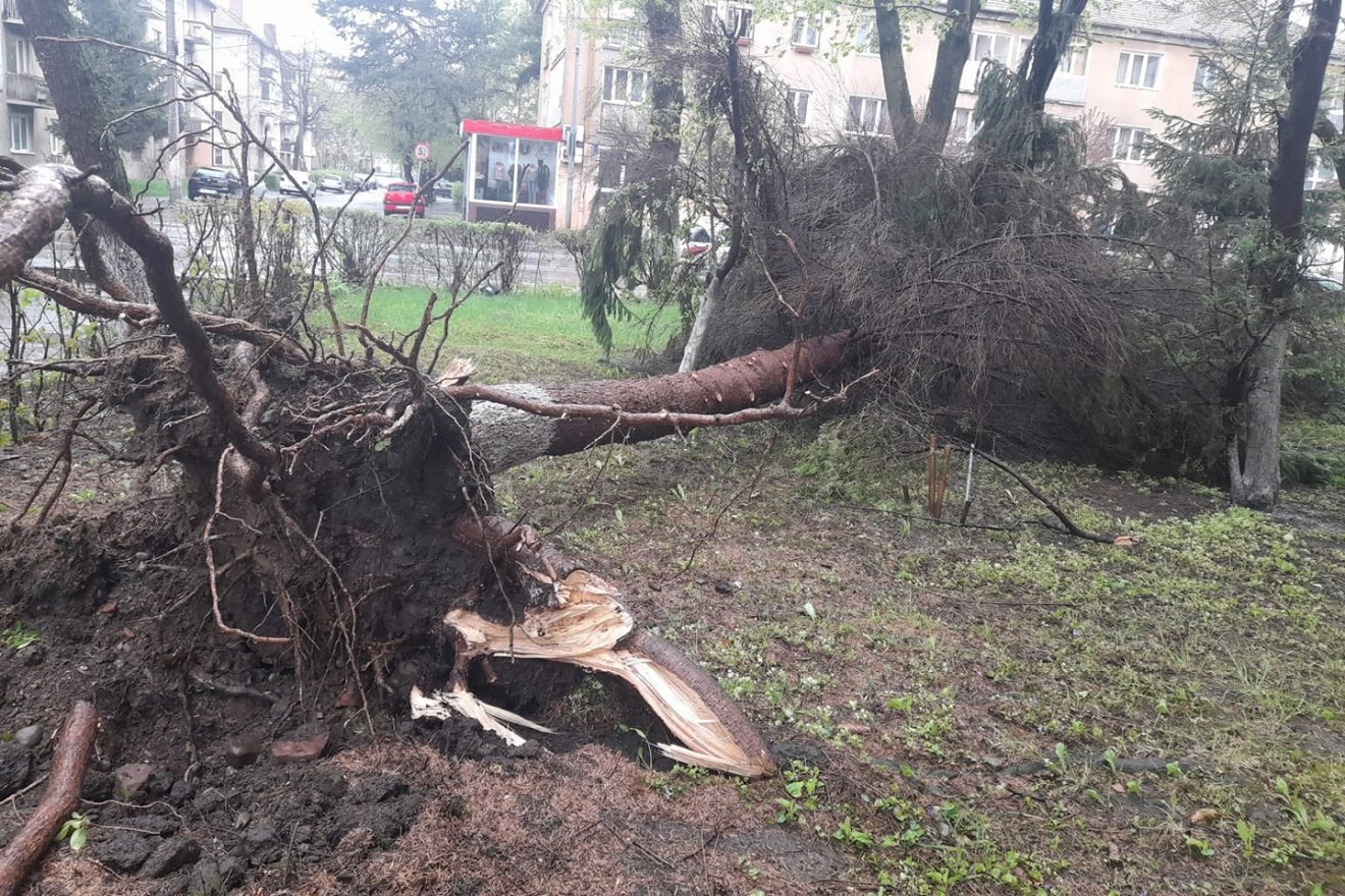 Jégeső, kidőlt fák – károkat okozott a vihar Maros megyében és Alcsíkon