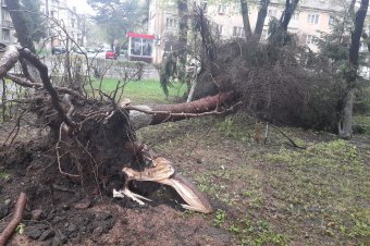 Több erdélyi megyében is károkat okozott az eső és az erős szél az elmúlt 24 órában