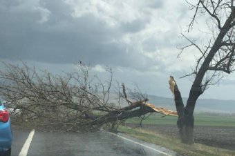Jégeső, kidőlt fák – károkat okozott a vihar Maros megyében és Alcsíkon