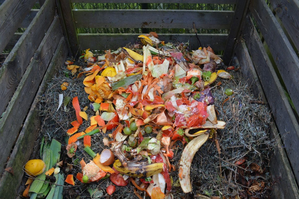 Rendhagyó kezdeményezés: komposztálható hulladékot gyűjtene két szászrégeni fiatal a helyiektől