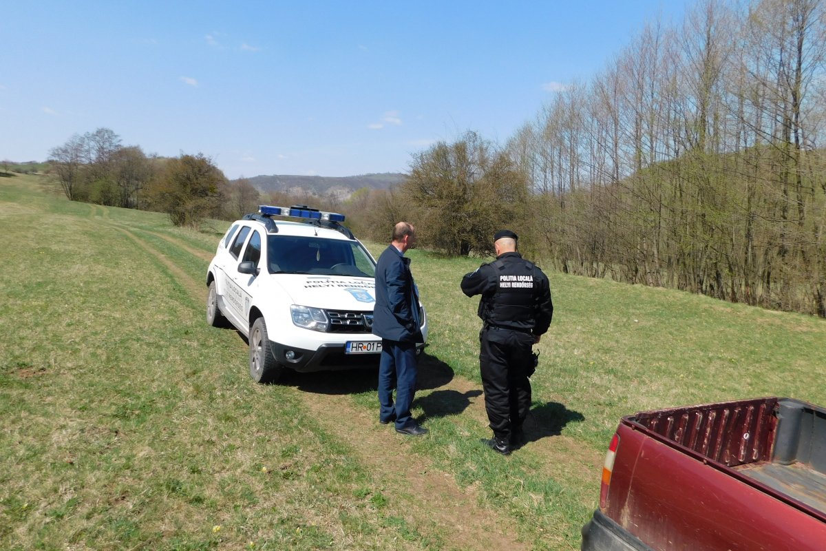 Rendőrök a mezőn: komolyan veszik Udvarhelyen a legeltetési tilalmat
