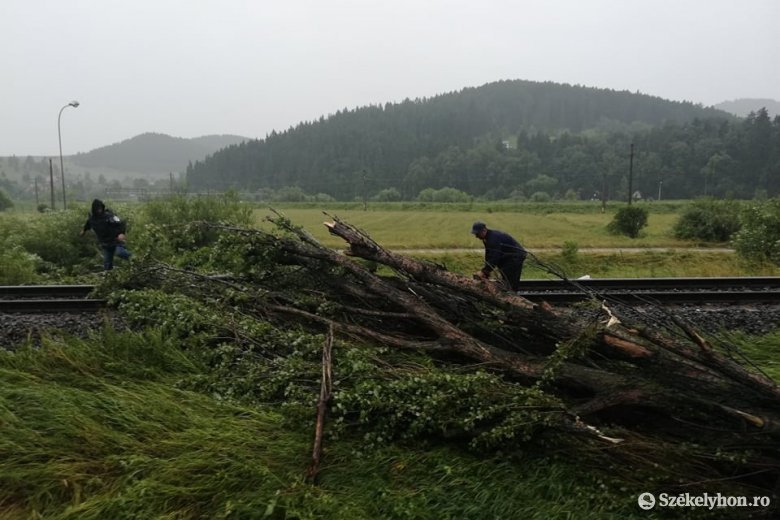 FRISSÍTVE – Sínekre dőlt fák miatt leállt a vasúti közlekedés Hargita megyében, a délelőtti órákban újraindult a forgalom