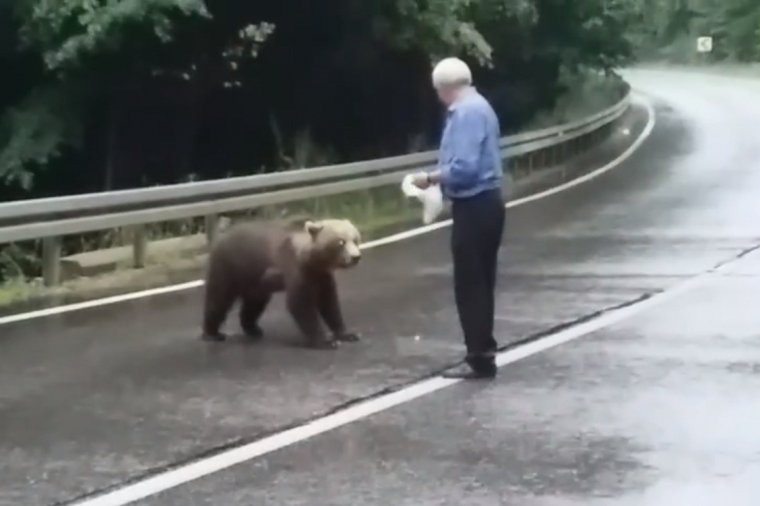 Semmi különös, csak a székely eteti a medvét az úton