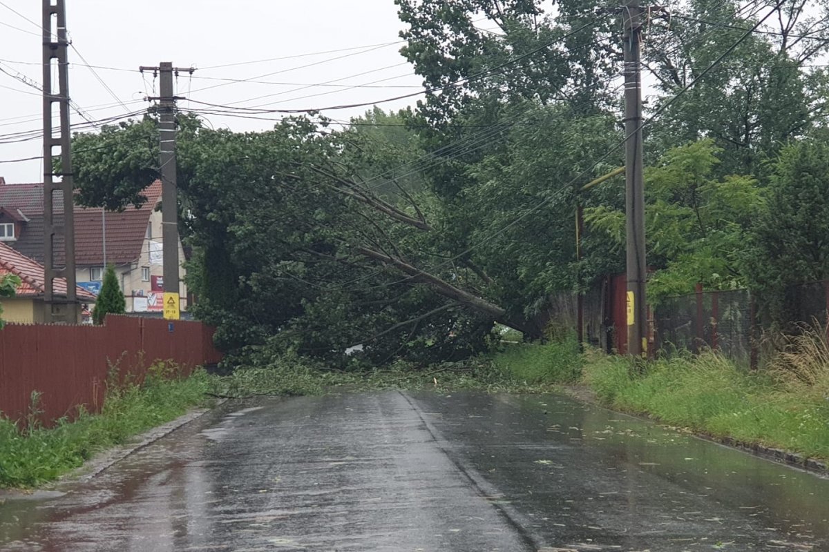 Fákat döntött az útra a vihar Csíkszeredában, Tusnádfürdőn és Maroshévízen