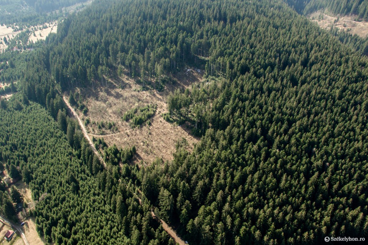 Zavarja Bukarestet a „túlzott” magyar erdőtulajdon