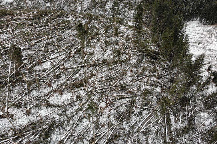 Egymillió köbméternyi fát döntött ki a szél Hargita és Maros megyében