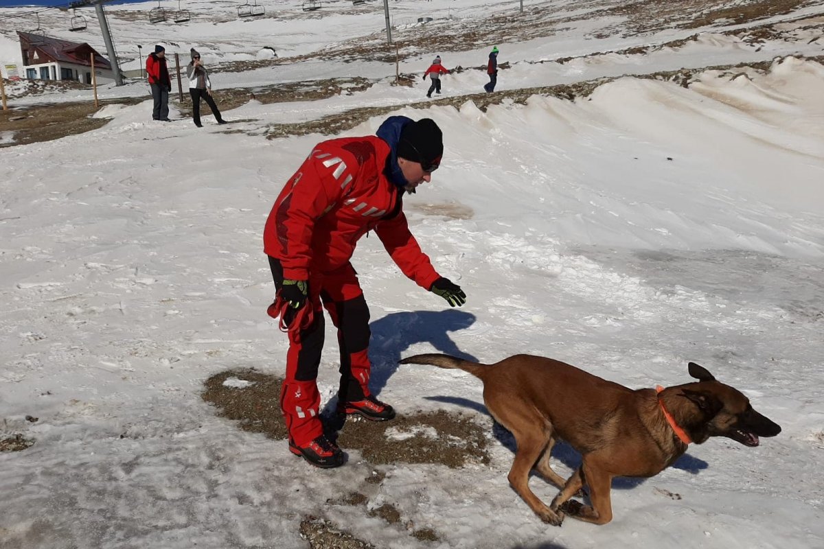 Nagyban segítik a hegyimentők munkáját a nyomkövetésre kiképzett kutyák