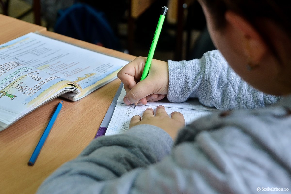 Az oktatás átszervezését sürgeti a magyar pedagógus- és diákszövetség