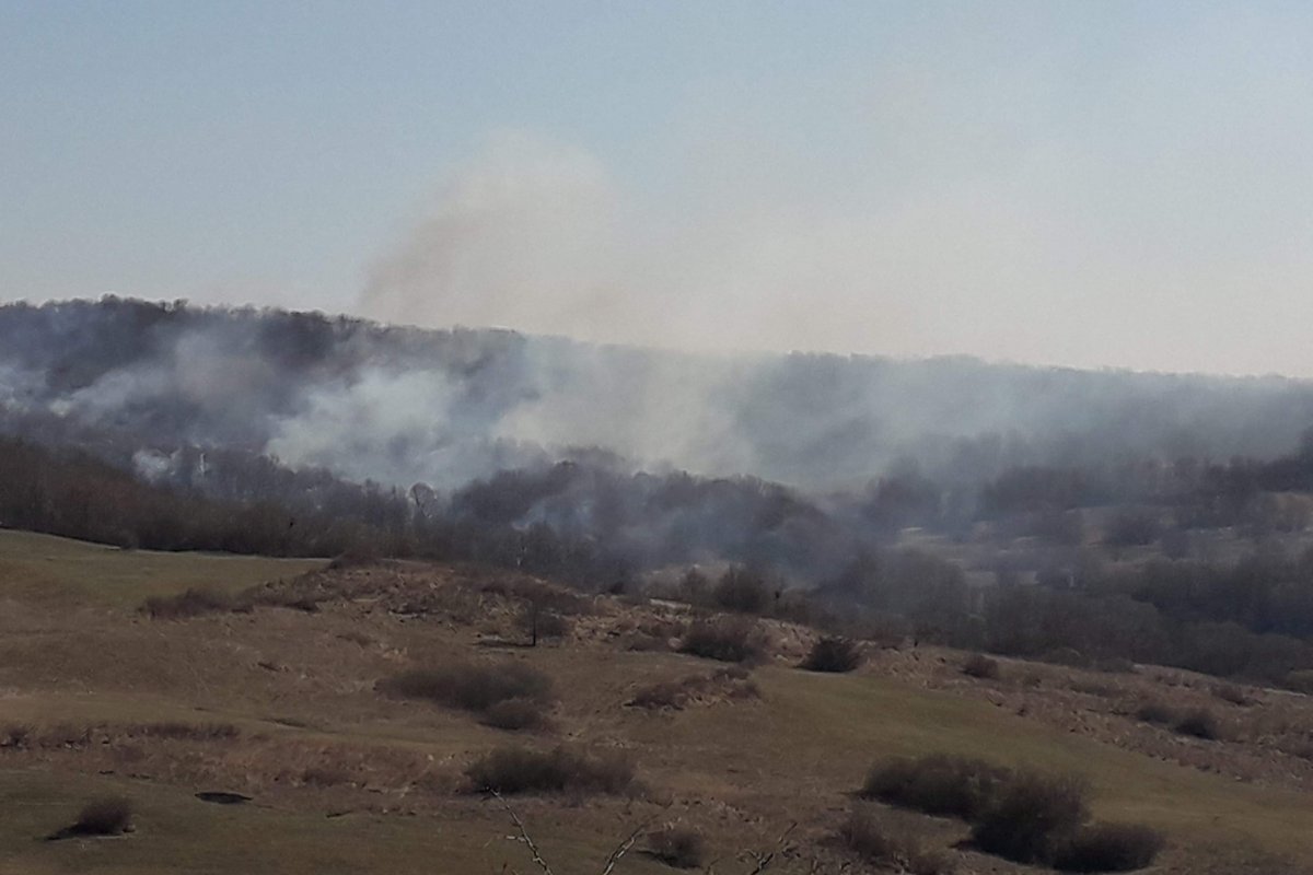 Piknikezésből erdőtűz: több mint tíz hektáron pusztítottak a lángok a Szarkakőn