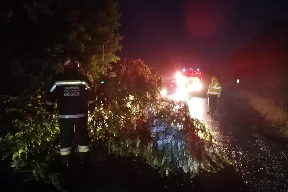 Fa zárta el az utat, árvíz volt Bögöz községben