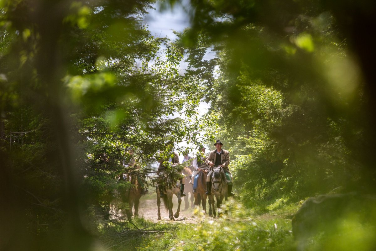 Sűrű erdőn keresztül lovagolnak Hargitafürdő felé •  Fotó: Erdély Bálint Előd