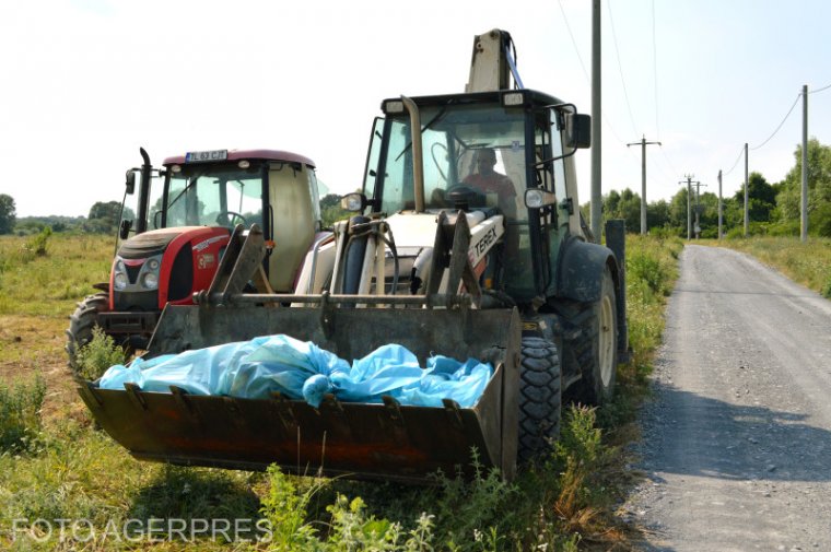 Szabályos megelőzés: Hargita megyei utakon is ellenőriznek sertéspestisügyben