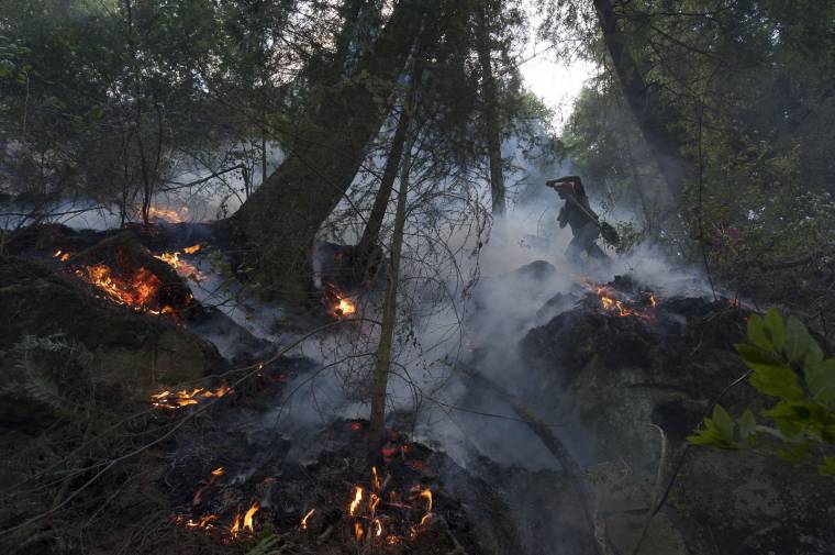 Helikopterrel oltják a tüzet a Domogléd-Cserna Nemzeti Parkban
