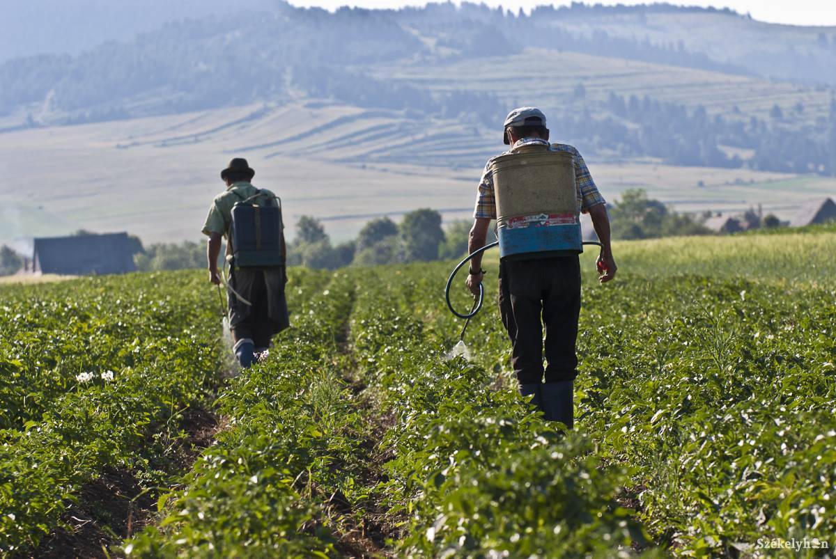 Járatlan utakon az agrárium: gazda legyen a talpán, aki a drágulások hullámaiban fenn tudja tartani gazdaságát
