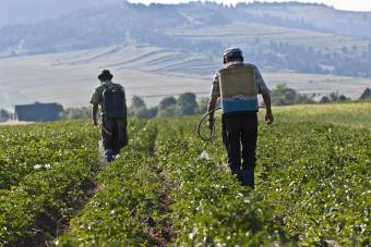 Járatlan utakon az agrárium: gazda legyen a talpán, aki a drágulások hullámaiban fenn tudja tartani gazdaságát