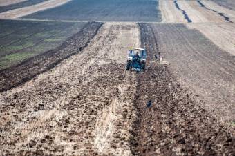 Megéri pályázni: több mint 300 millió euró áll a gazdálkodók rendelkezésére