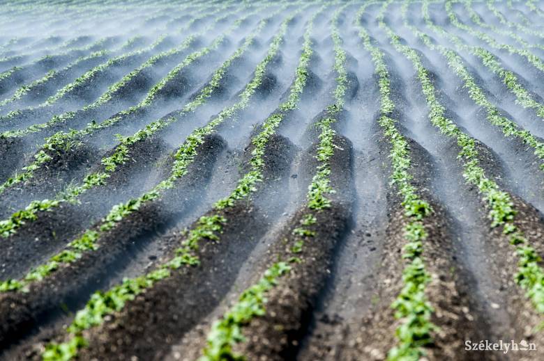 Intenzív mezőgazdaságot nem lehet növényvédő szerek nélkül megvalósítani
