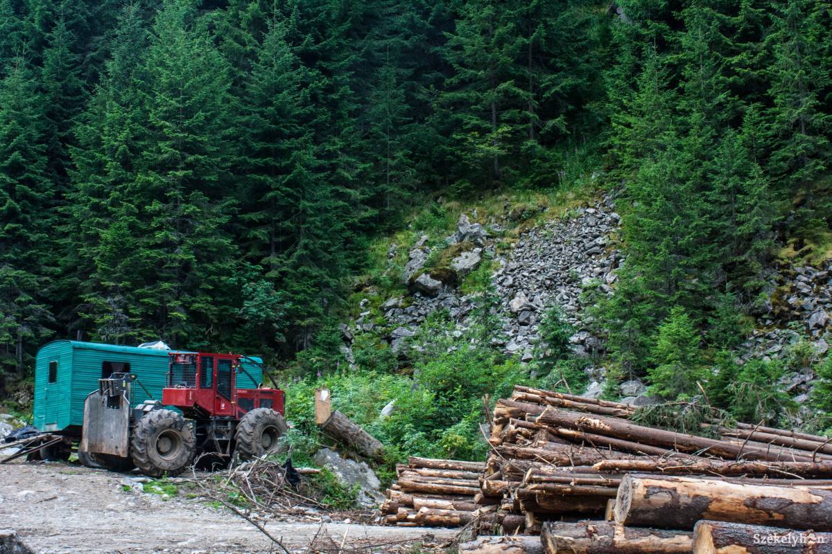 Főként fakitermelőket bírságoltak a háromszéki környezetőrök