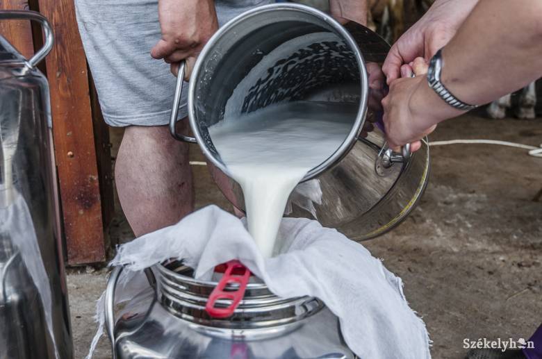 A piaci helyzet romlása ellenére jól működik a gyimesbükki tejcsarnok