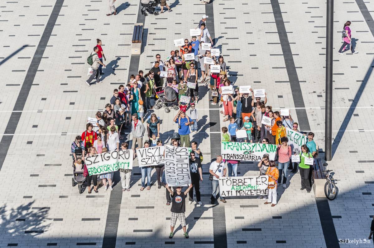 Az erdők védelmében szerveznek tüntetést civil szervezetek több romániai nagyvárosban