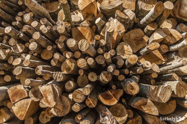 Köbméterenként 150 lejes tűzifavásárlási támogatást javasol a környezetvédelmi minisztérium
