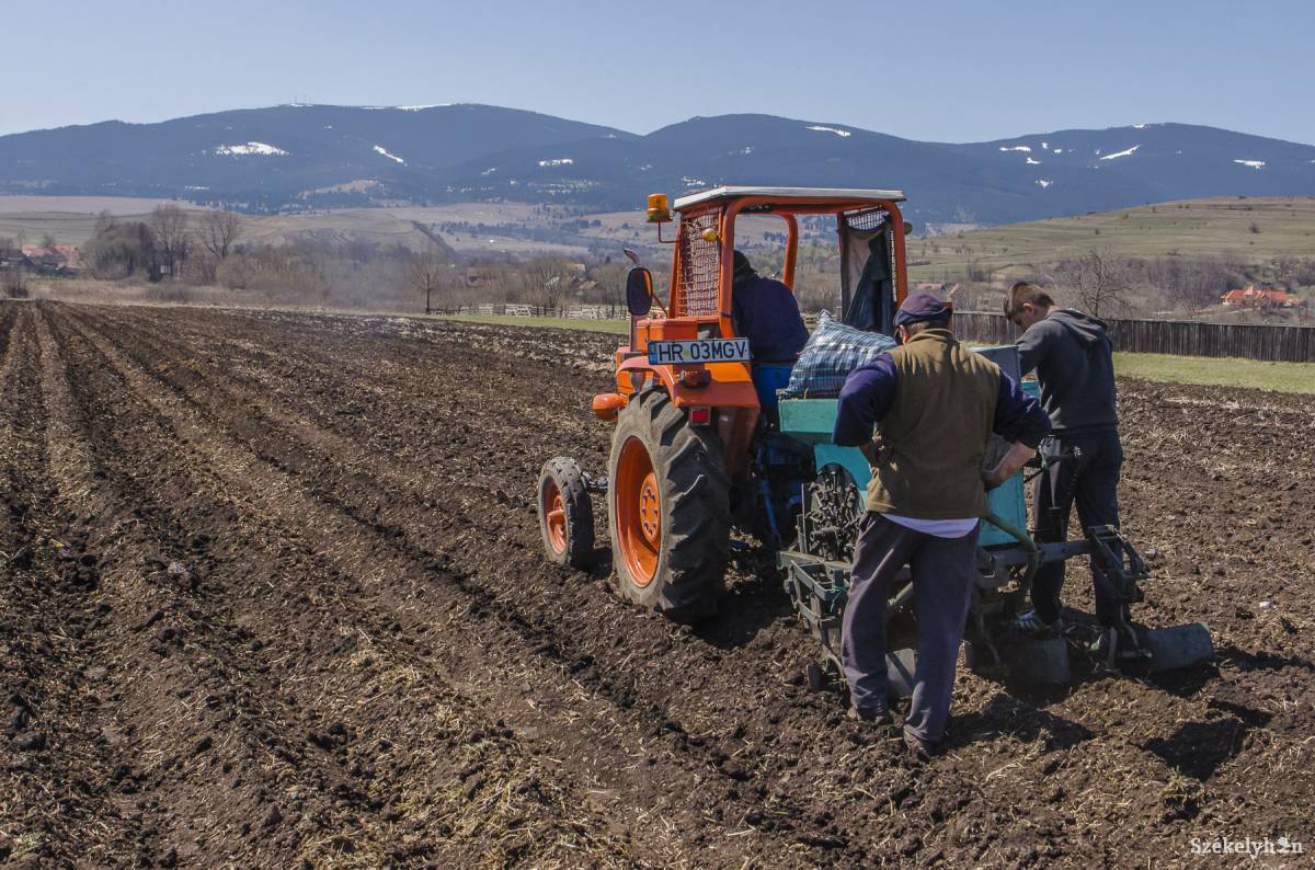 Lefaragja az áfát a mezőgazdaságban a román kormány