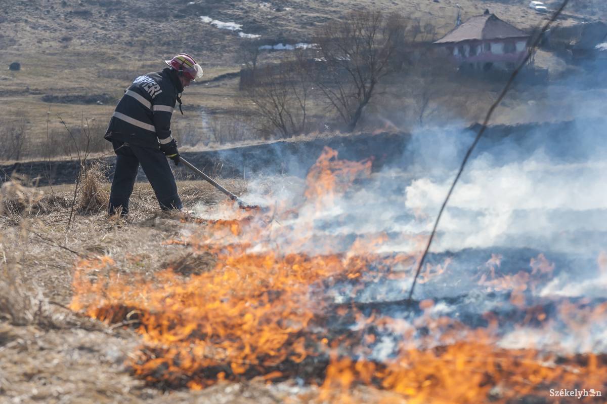 Több hektáron tombolt a tűz – ellenőriz a környezetőrség