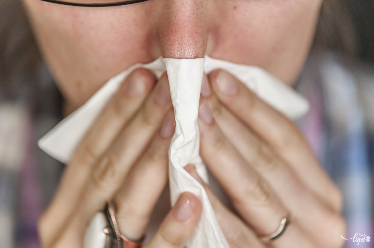 Újabb négy halálos áldozatot szedett az influenzajárvány