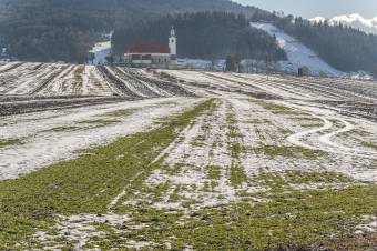 Nem okoz gondot, sőt még jól is jött a havazás a mezőgazdaságban