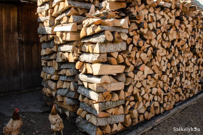 Korlátozzák a fűtésre használt fa árát a téli időszakra