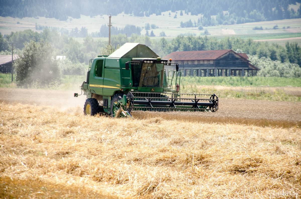 A kereskedők fölözik le a gabonatermés hasznát – Kifizetődőbbé lehet tenni a gazdák számára a búza és az árpa termesztését