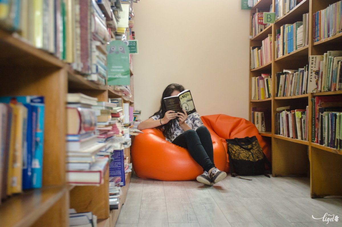 A kortárs szerzőket olvassák a legtöbben a székelyföldi könyvtárakban