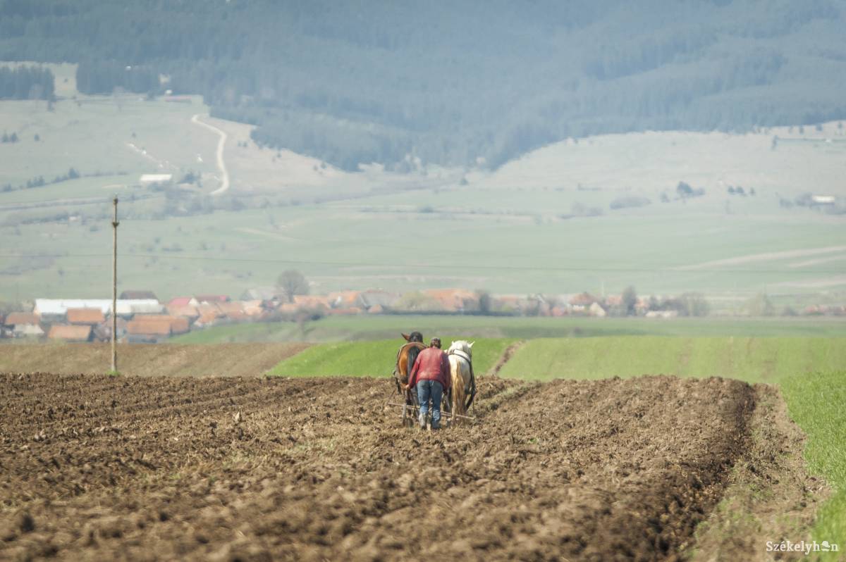 Székely gőzös mozdony nélkül – gazdasági szakértők szerint erősíteni kell Székelyföld belső kohézióját