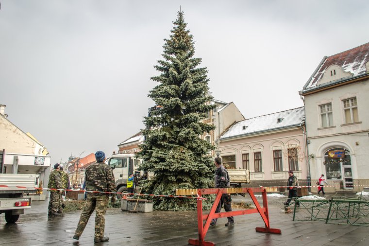 Ünnepekre hangolódnak Csíkszeredában: áll már a város karácsonyfája